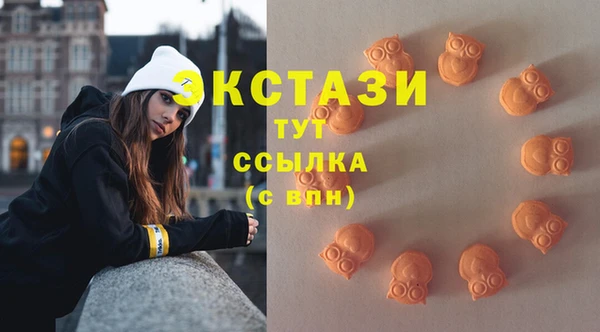 крисы Абаза