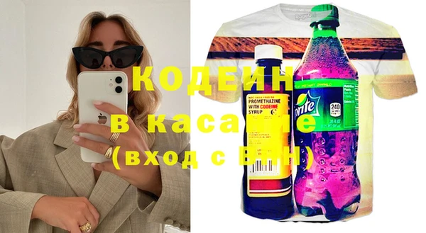 крисы Абаза